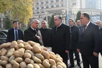 President Emomali Rahmon attends Festival of Agricultural and Horticultural Products in Sughd Province