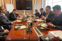 Tajik-Pakistani Relations Expand in Priority Economic Sectors