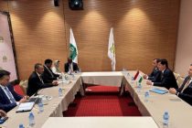 Tajikistan and Islamic Corporation for the Development of the Private Sector Explore New Avenues for Cooperation