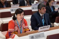 Tajikistan Discusses Healthcare Financing Reform at World Health Assembly in Geneva