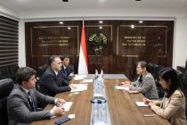 Japan Expresses Readiness to Expand Energy Cooperation with Tajikistan
