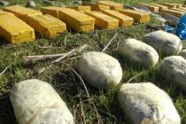 Large Drug Shipment Seized on Tajik-Afghan Border