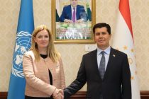 UNDP to Support Priority Projects for Tajikistan’s National Economy