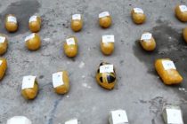 24 Kilograms of Narcotics Seized in Panjakent