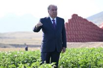 Emomali Rahmon Commissions Irrigation Water Supply Line in Basmanda Village, Devashtich District