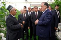 President Emomali Rahmon Visits Moghiyon-Agro Greenhouse in Panjakent