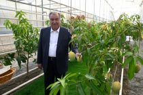 President Emomali Rahmon Visits “TOJ AGRO” Farm in Mir Sayyid Ali Hamadoni District