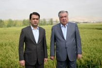 President Emomali Rahmon gets acquainted with operations of farming units in Tursunzoda