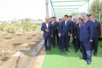 President Emomali Rahmon visits the nursery farm, exhibition of agricultural products and replanting campaign in Vahdat