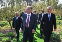 The Head of state Emomali Rahmon visits Mirali Mahmadali Farm in Vose district
