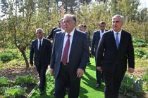 The Head of state Emomali Rahmon visits Mirali Mahmadali Farm in Vose district