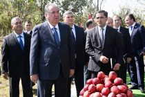 President Emomali Rahmon visits Solehjon farm in Fayzobod district