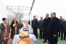 President Emomali Rahmon visits the exhibition of agricultural products of Jaihun