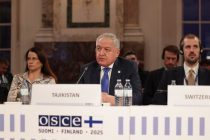 Tajik FM addresses OSCE Ministerial Council, calling for expanded cooperation in major challenges