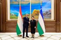 Ambassador of Tajikistan Meets with Chairperson of the Senate of Uzbekistan