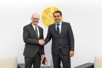 Tajikistan, Germany Discuss Expanding Cooperation in Innovation and Digital Technologies