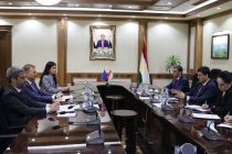 EU, Tajikistan Discuss Climate Action and Environmental Protection Initiatives