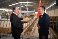 President Emomali Rahmon Inaugurates Modern Brick Factory in Northern Tajikistan