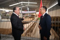 President Emomali Rahmon Inaugurates Modern Brick Factory in Northern Tajikistan