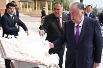 President Emomali Rahmon Inaugurates Social Housing Building, Opens Innovation Center in Khujand