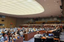 Tajik Envoy Jonibek Hikmat Elected Chair of UN Population and Development Commission Session