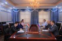 Tajik Deputy FM Meets Russian Ambassador