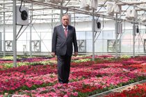 President Emomali Rahmon Launches Gulnur Greenhouse Complex in Nurek
