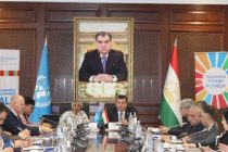 Tajikistan, United Nations Review Development Cooperation at Joint Steering Committee Meeting