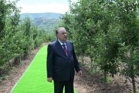 President Emomali Rahmon Visits Intensive Orchard in Khovaling