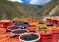Tajikistan Exports Nearly 37,000 Tons of Dried Fruits in Early 2026