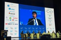 Tajikistan Eyes Diversified Renewable Energy Future, Deputy Minister Says