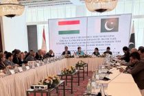 Tajikistan and Pakistan Expand Bilateral Economic Cooperation