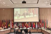 UN Resolution on International Decade for Strengthening Peace for Future Generations Presented in Vienna