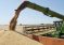 Tajik Farmers Harvest Nearly 589,000 Tons of Wheat by August 2026