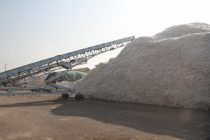 Tajikistan Plans to Harvest More Than 393,000 Tons of Cotton
