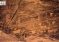 RCU Launches Archaeological Campaign Showcasing More Than 19,000 Rock Art Panels in AlUla
