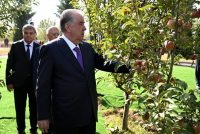 Leader of the Nation Emomali Rahmon Tours Modern Intensive Orchard and Agricultural Exhibition in Rasht