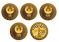 National Bank of Tajikistan issues commemorative coins for 35th anniversary of independence