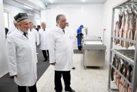 President Emomali Rahmon Inaugurates Fish Processing Facility and Launches Construction of Second Phase in Vahdat