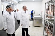 President Emomali Rahmon Inaugurates Fish Processing Facility and Launches Construction of Second Phase in Vahdat