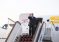 President Emomali Rahmon Departs for Turkmenistan for CIS and Central Asia–Azerbaijan Summits