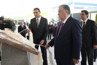 President Emomali Rahmon Inaugurates Rhazes Pharma Plant to Boost Domestic Pharmaceutical Production in Tajikistan