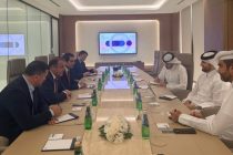 Tajikistan, Qatar Discuss Boosting Bilateral Investment